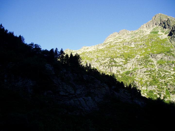 DCE 011.jpg